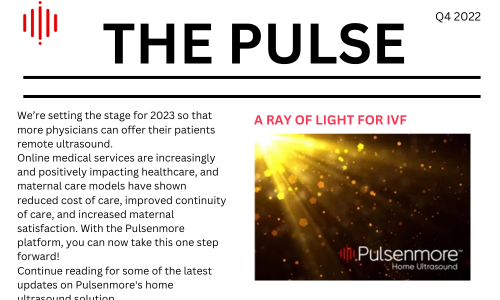 THE PULSE Q4 2022 cover image
