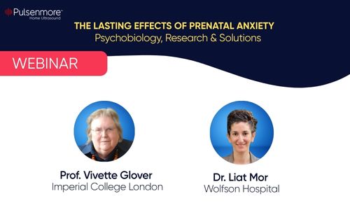 Pulsenmore webinar The Lasting effects of Prenatal Anxiety
